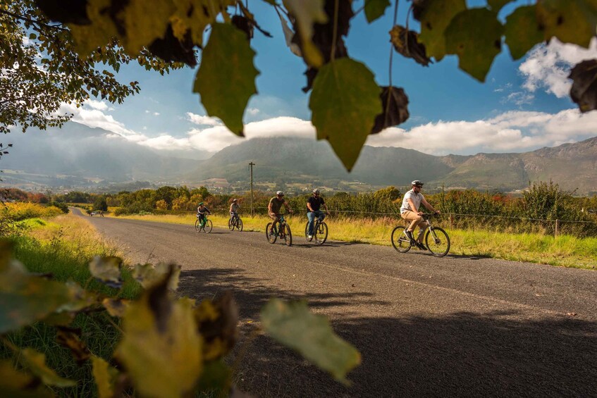 Picture 3 for Activity Franschhoek: Private E-bike Ride & Wine Experience