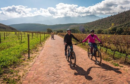 Franschhoek: paseo privado en bicicleta eléctrica y experiencia vinícola