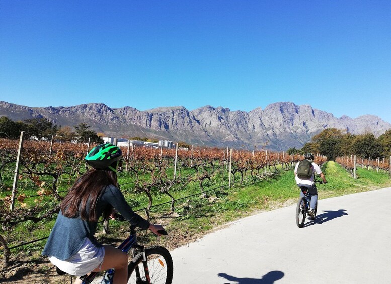 Picture 6 for Activity Franschhoek: Private E-bike Ride & Wine Experience