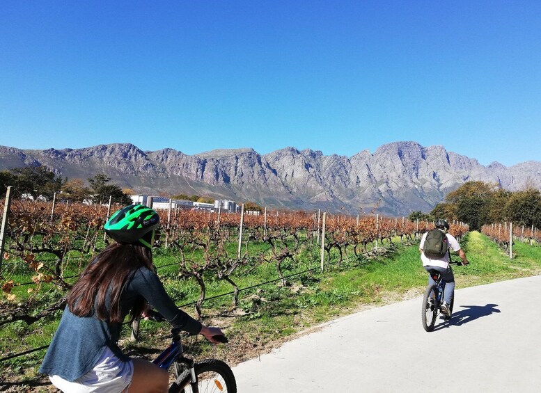 Picture 6 for Activity Franschhoek: Private E-bike Ride & Wine Experience