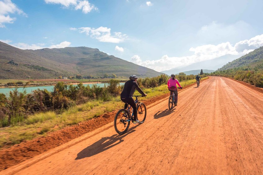 Picture 9 for Activity Franschhoek: Private E-bike Ride & Wine Experience