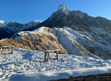 Pokhara: 5-tägiger geführter Mardi Himal Trek