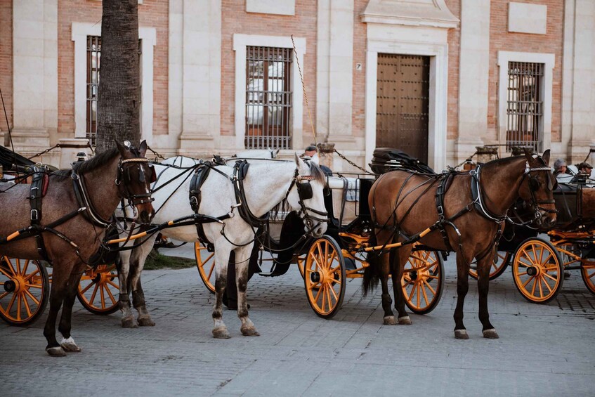 Picture 22 for Activity Seville: Guided Walking Tour with Optional Breakfast