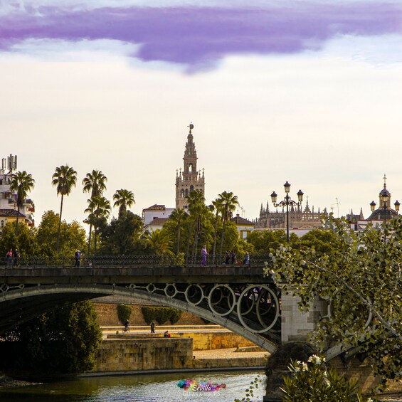 Picture 7 for Activity Seville: Guided Walking Tour with Optional Breakfast