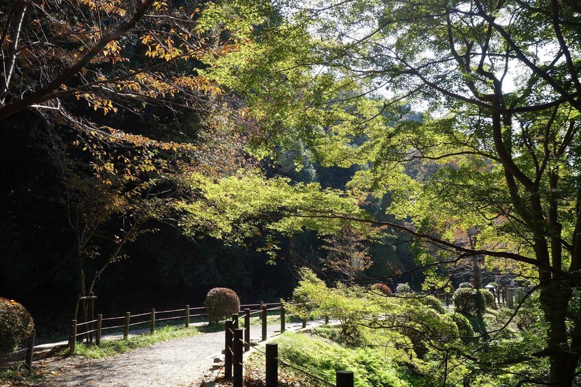 Picture 2 for Activity Kyoto: Ginkakuji and the Philosopher's Path Guided Bike Tour