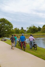 Kyoto: Guided E-Bike Tour