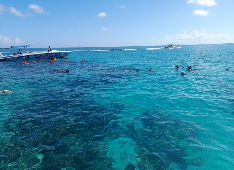 Picture 11 for Activity Nassau: Swimming with Pigs, Snorkeling, and Sightseeing Tour