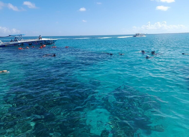 Picture 11 for Activity Nassau: Swimming with Pigs, Snorkeling, and Sightseeing Tour