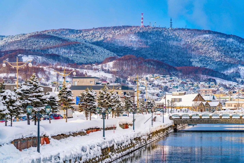 Picture 2 for Activity From Sapporo: 10-hour Customized Private Tour to Otaru