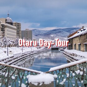 From Sapporo: 10-hour Customised Private Tour to Otaru