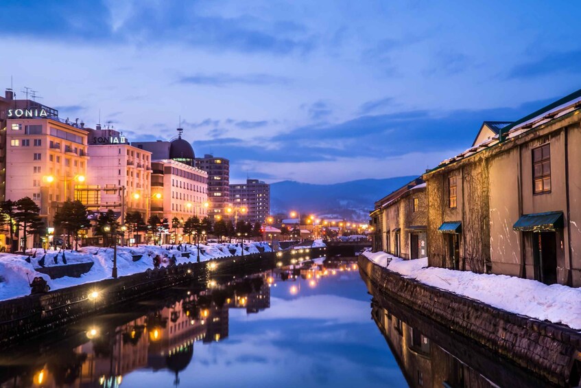 Picture 3 for Activity From Sapporo: 10-hour Customized Private Tour to Otaru