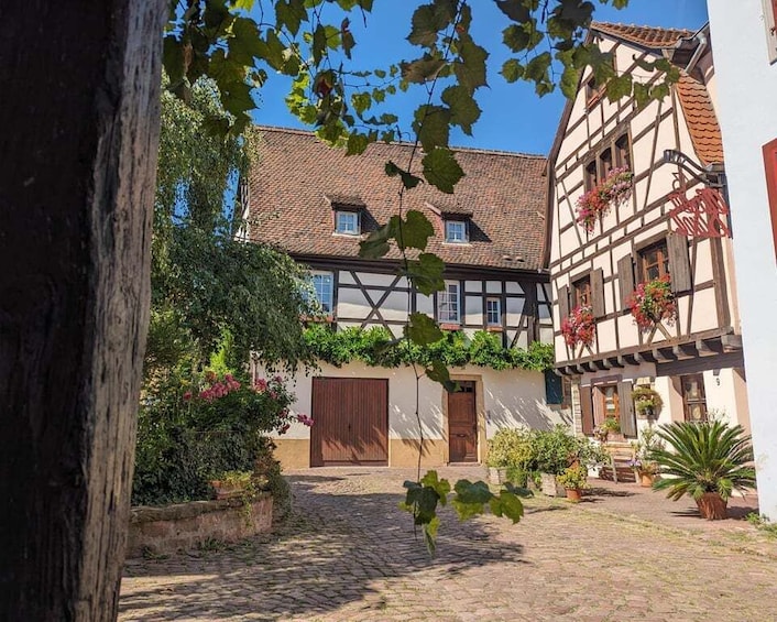 Colmar: Unusual Walking Tour with a local guide