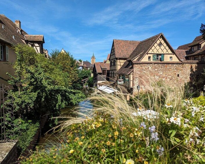 Picture 1 for Activity Colmar: Unusual Walking Tour with a local guide