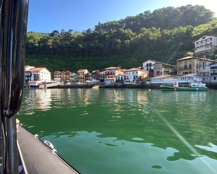 Picture 7 for Activity Saint-Jean-de-Luz, Basque country: Boat tour along the Coast