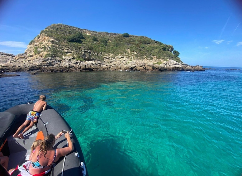 Picture 8 for Activity Saint-Jean-de-Luz, Basque country: Boat tour along the Coast