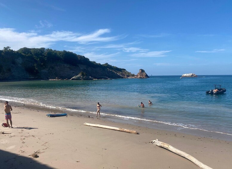 Picture 5 for Activity Saint-Jean-de-Luz, Basque country: Boat tour along the Coast