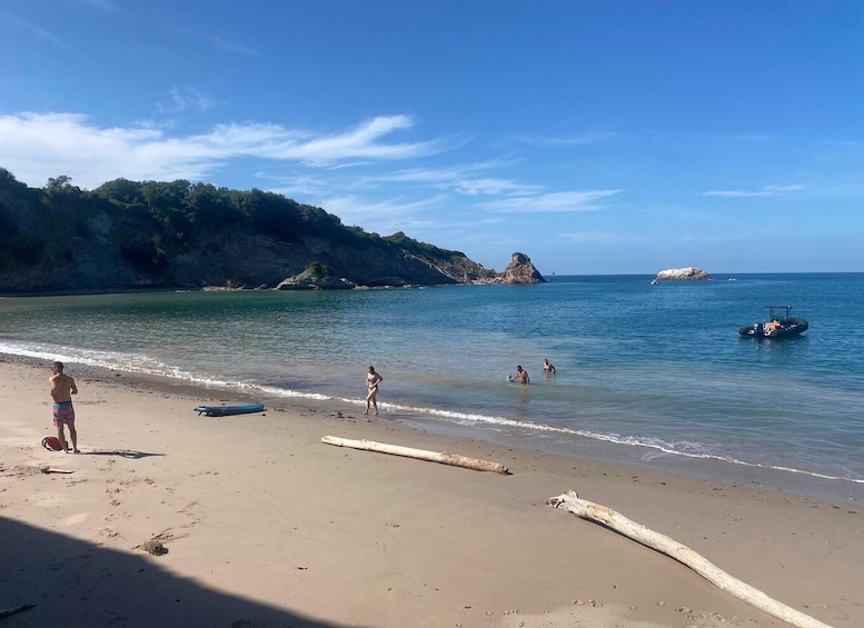 Picture 5 for Activity Saint-Jean-de-Luz, Basque country: Boat tour along the Coast