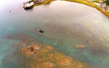 Saint-Jean-de-Luz, Basque country: Boat tour along the Coast