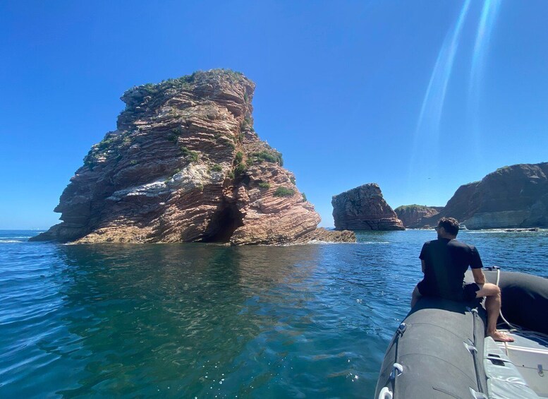 Picture 3 for Activity Saint-Jean-de-Luz, Basque country: Boat tour along the Coast