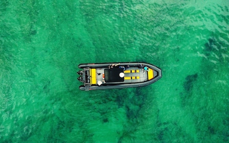 Saint-Jean-de-Luz, Basque country: Boat tour along the Coast