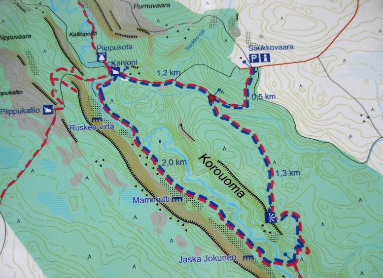 Picture 14 for Activity Rovaniemi: Korouoma Canyon and Frozen Waterfalls Tour