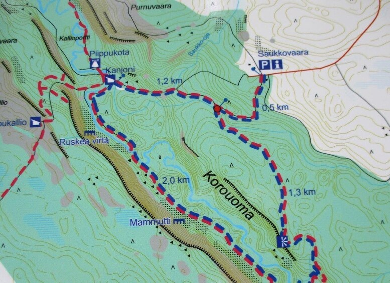 Picture 14 for Activity Rovaniemi: Korouoma Canyon and Frozen Waterfalls Tour