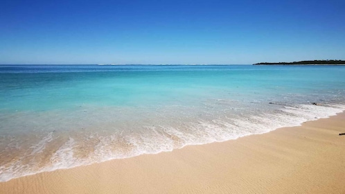 Coral Coast Adventure: Biausevu Waterfall & Natadola Beach