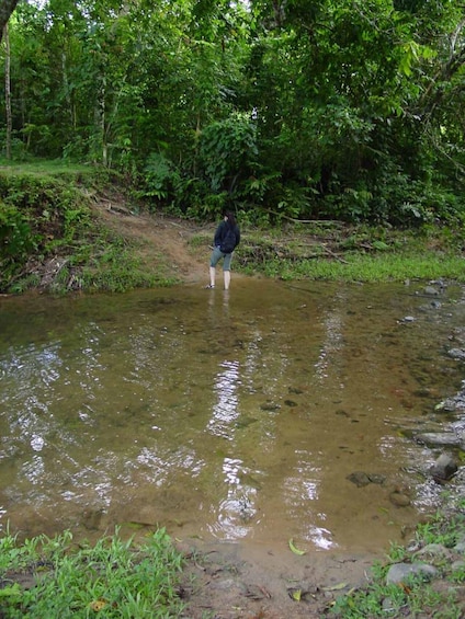 Picture 5 for Activity Coral Coast Adventure: Biausevu Waterfall & Natadola Beach