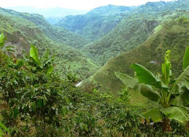 Private Jeep Tour to the Surroundings of San Agustín