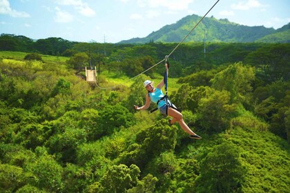 Kauai: Zipline Adventure