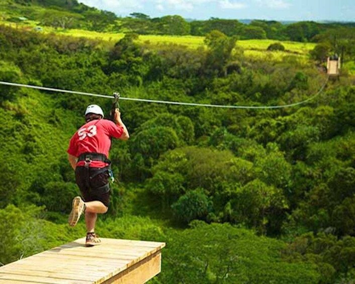 Picture 2 for Activity Kauai: Zipline Adventure