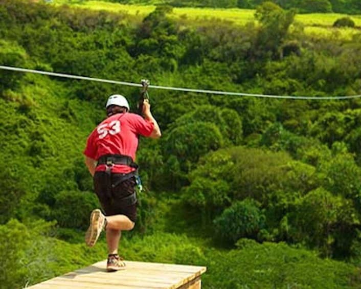 Picture 2 for Activity Kauai: Zipline Adventure