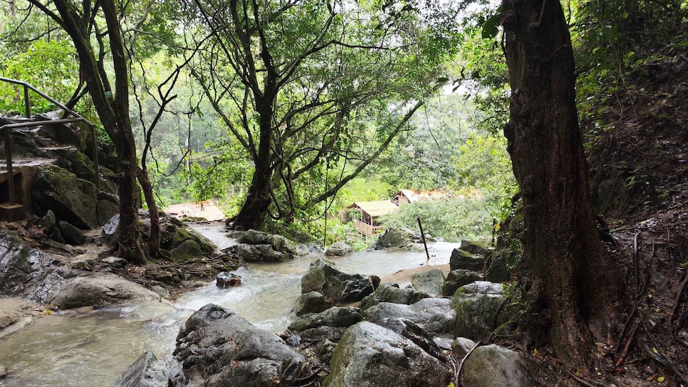 Picture 2 for Activity Palomino: Hiking Tour of Valencia Waterfalls with Transfers