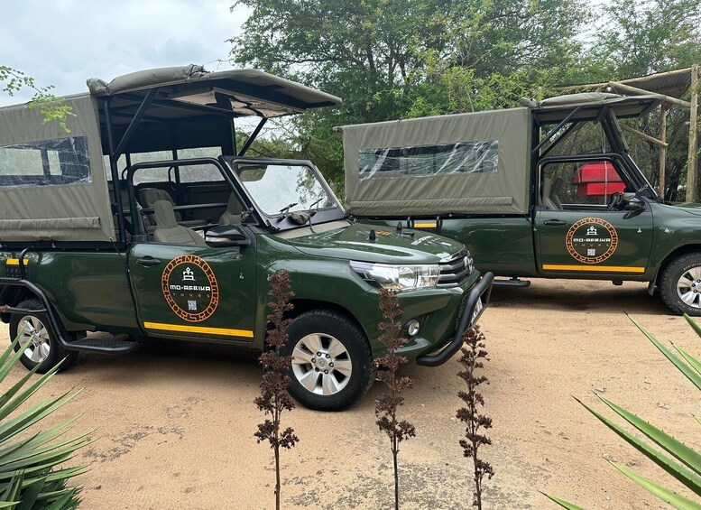 Picture 6 for Activity Full Day Private Kruger Safari from Hazyview