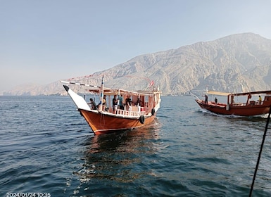 Khasab: Half-Day Dhow Cruise, Dolphin Watching, & Snorkelling