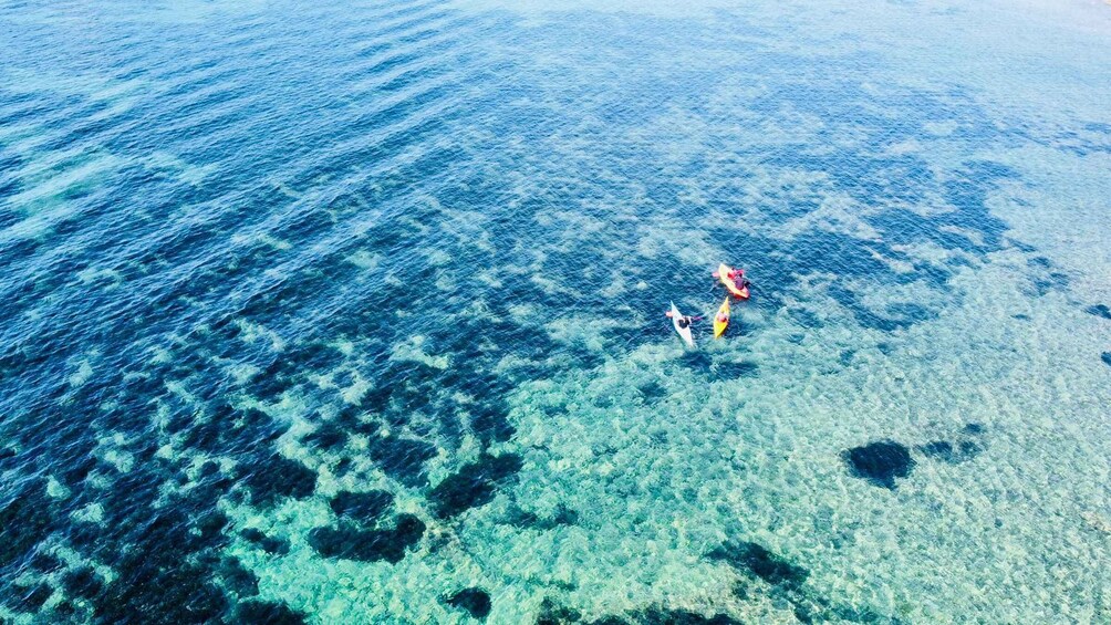 Picture 1 for Activity From Inmood Hotel Alcanada. Kayaking Guided Route Island