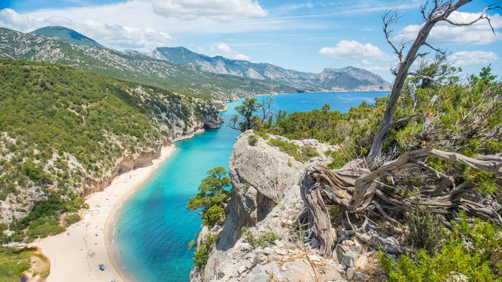Picture 5 for Activity From Orosei/Dorgali: Hike to Cala Luna - Guided Day Trip
