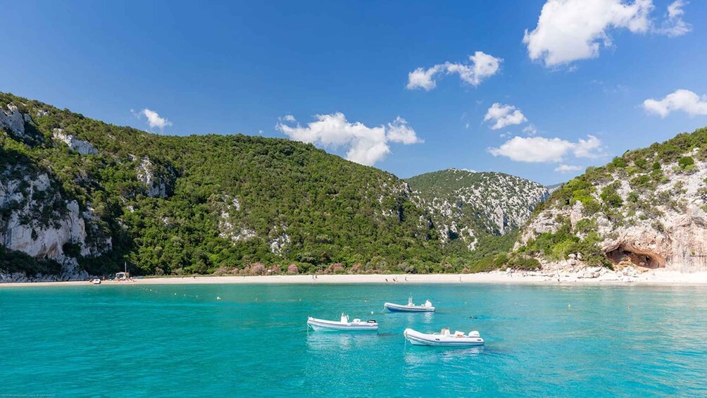 Picture 6 for Activity From Orosei/Dorgali: Hike to Cala Luna - Guided Day Trip