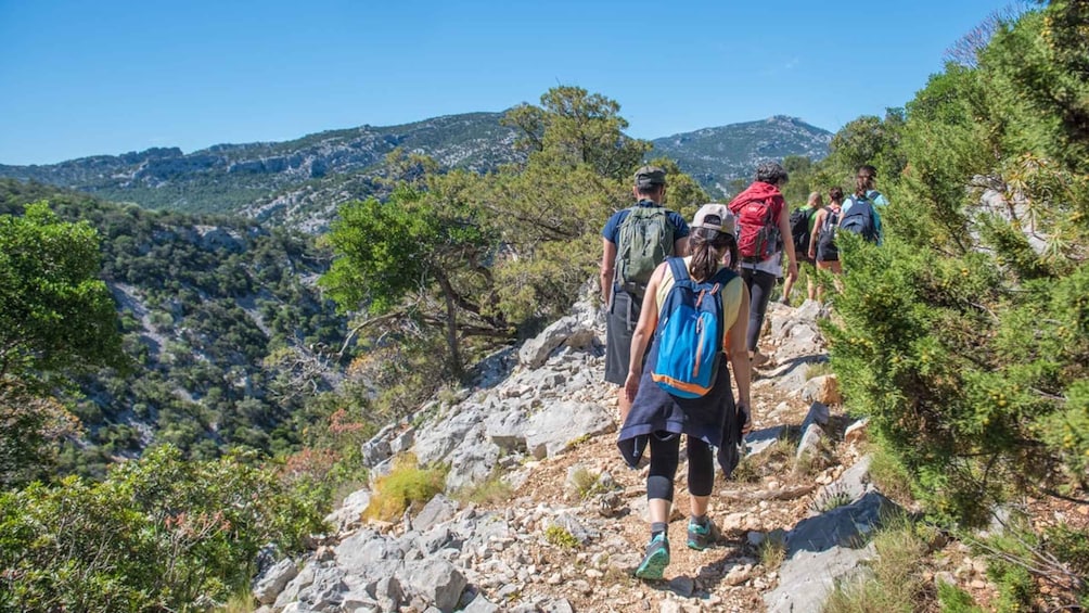 From Orosei/Dorgali: Hike to Cala Luna - Guided Day Trip