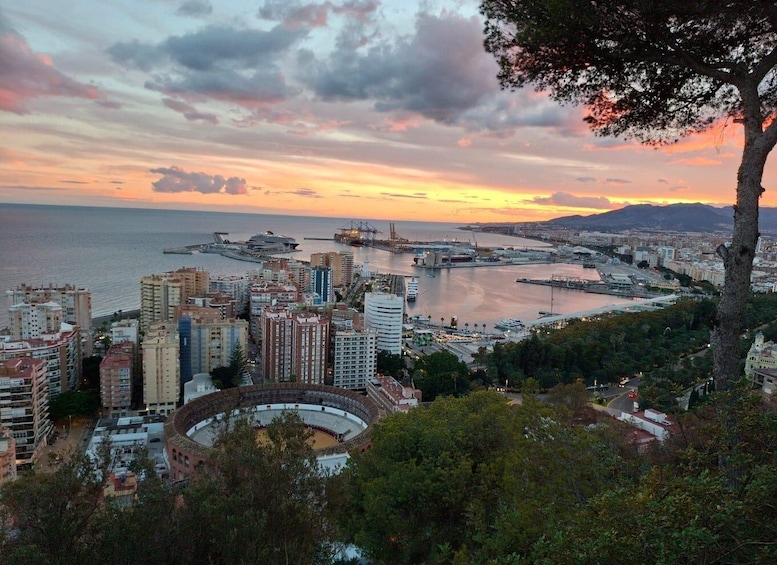 Picture 9 for Activity Malaga Christmas Lights Tour.Enjoy the sunset