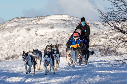 Rovaniemeltä: Lapin poro- ja huskykelkkasafari