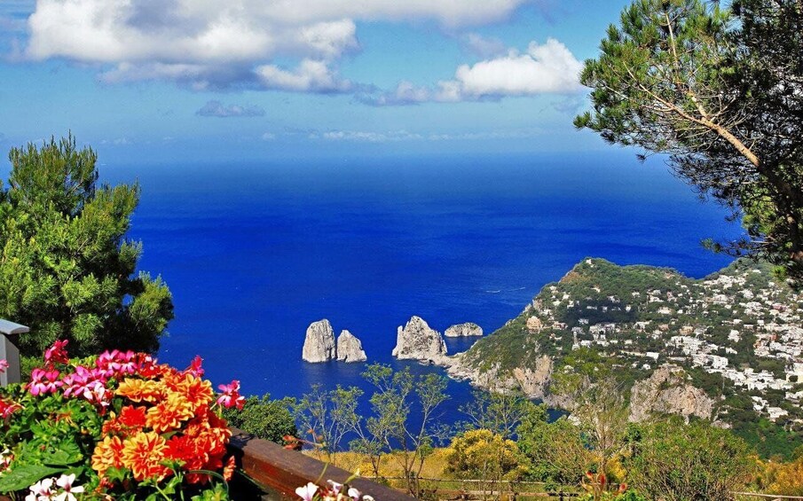 Picture 1 for Activity Capri Deluxe Private tour from amalfi