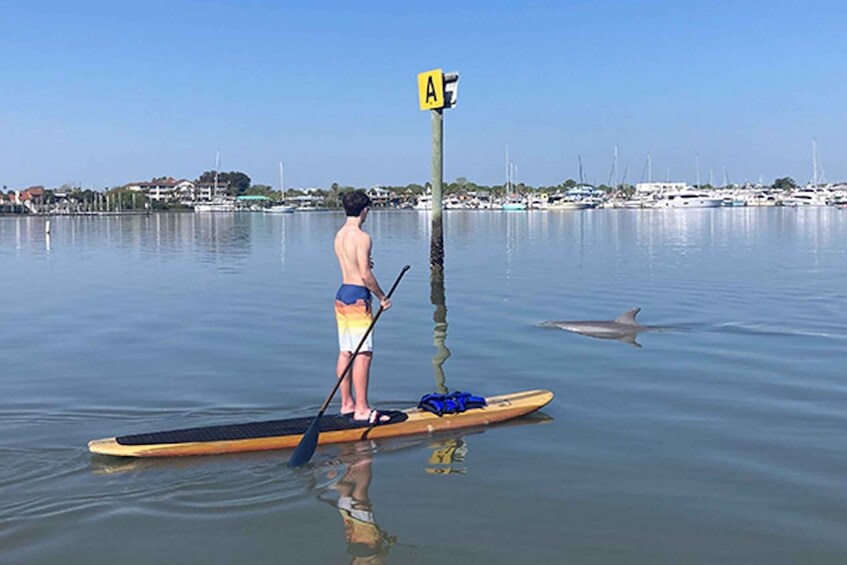 Picture 2 for Activity St. Augustine: Dolphin and Manatee Paddle or Kayak Tour