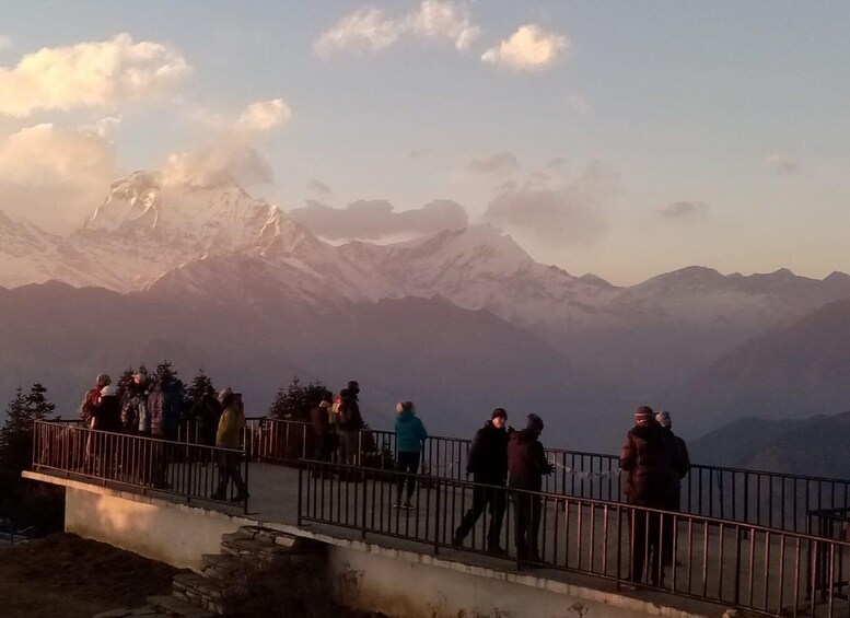 Picture 15 for Activity From Pokhara group budget: 4 Day Poon Hill Trek