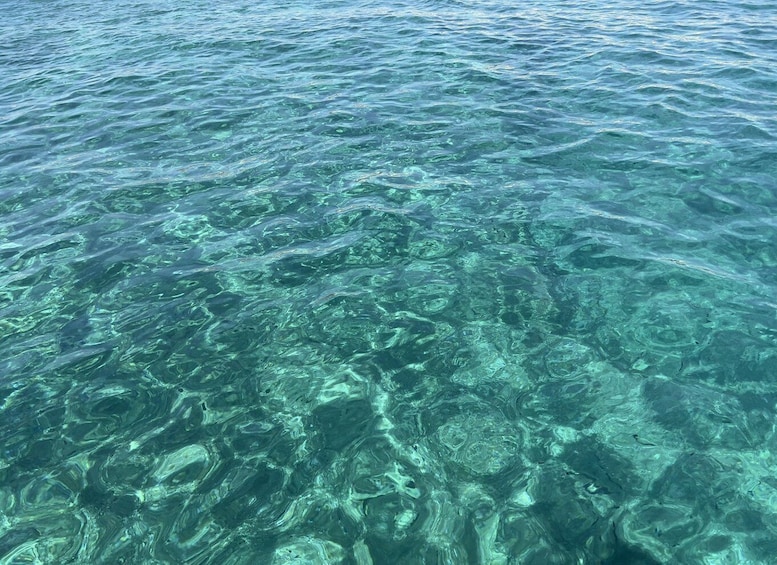 Picture 6 for Activity Medulin: Speedboat Adventure with Cave & Island Snorkeling