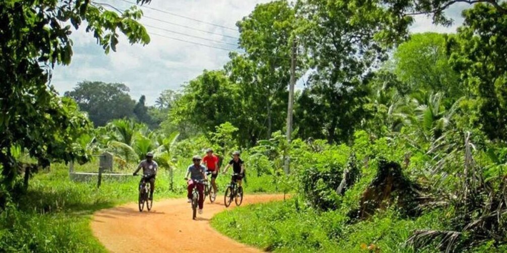 Yala: Cycling Expedition from Hambantota Harbor