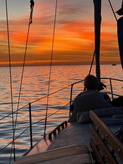 Picture 1 for Activity Sea Lion Boat Tour with Experienced Guide BYOB