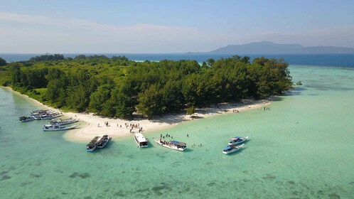 Snorkelling & islandhopping tour Karimunjawa (sharing tour)