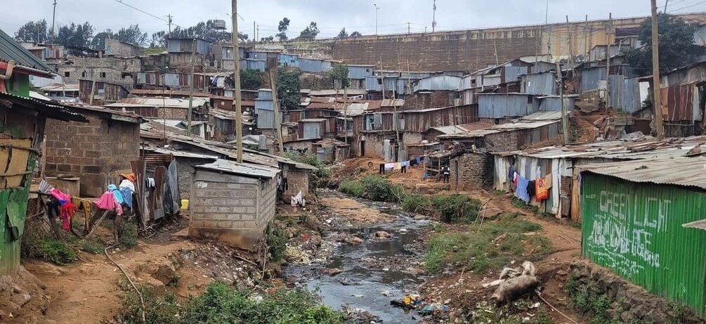 Picture 2 for Activity Nairobi: Chocolate City Kibera Slum Walking Tour