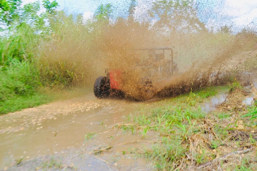 Picture 9 for Activity Santo Domingo: Dune Buggy Cumayasa with River & Beach